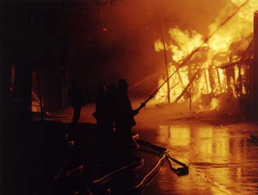 20020205n.jpg