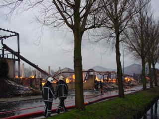 DSC00047.JPG