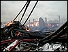 20020205g.jpg